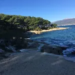 Single In The Heart Of 招待所 斯普利特